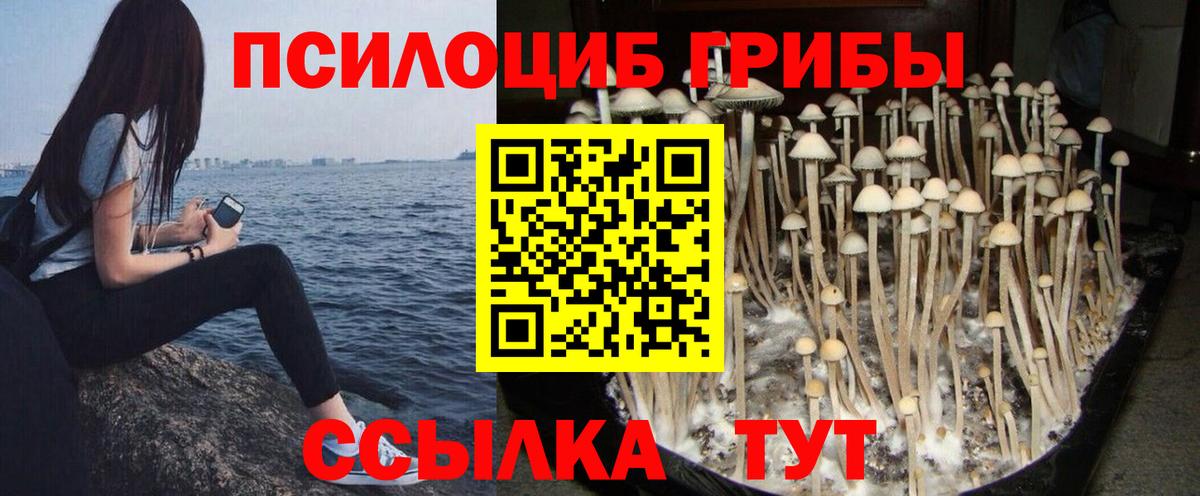 Галлюциногенные грибы MAGIC MUSHROOMS  Вход с VPN  Сорочинск 