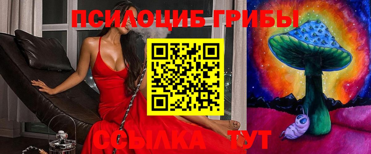 Псилоцибиновые грибы мицелий Сорочинск